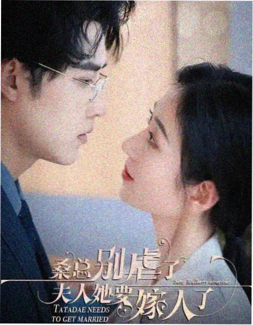 在线电视剧第七次日落剧集封面